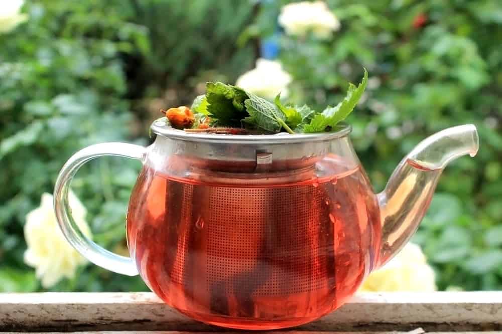 GREENS FRESH RED TEA: